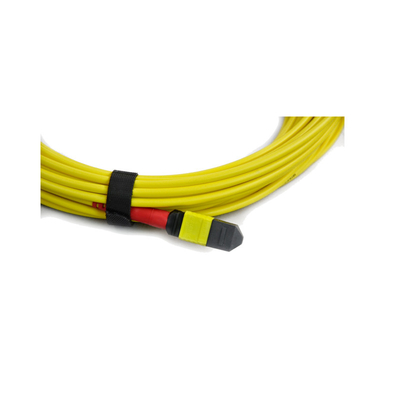 Мужчина кабеля хобота b MPO полярности к кабелям проводки 10m мужчины 3m 5m расположенным ступенями длиной