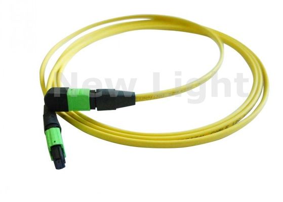 Купить Одномодовый MPO/MTP кабель на 12 волокон с полировкой APC, одобренный CE, MTP Trunk Cable online manufacture