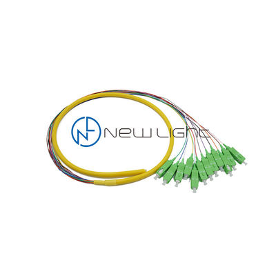 Прочный оптоволоконный пигтейл SC с 12 жилами в свободной трубке, 0.9 мм, для высокопроизводительных многоволоконных кабельных сборок